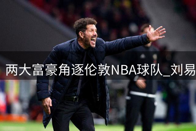 两大富豪角逐伦敦NBA球队 刘易斯与列维各自组团竞标