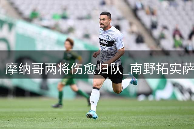摩纳哥两将伤愈归队 南野拓实萨利苏恢复合练